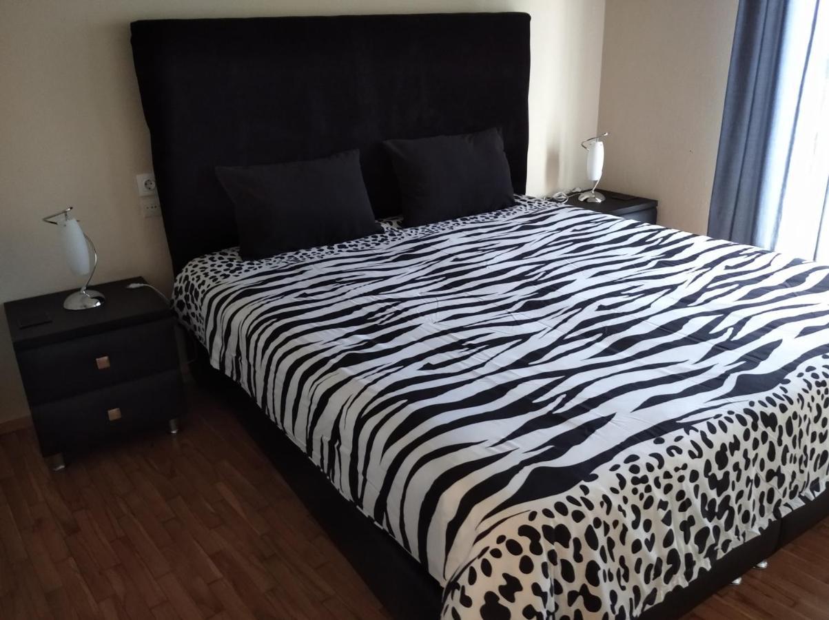 Niki'S House Άνετο Διαμ/Σμα 106Τμ 2 Υπνοδωματίων Apartment Волос Екстериор снимка